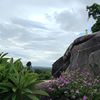 pd.dieuthuy
