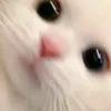 zeyieyz