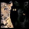 rahmaalsayed30