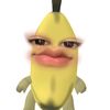 xyz_raa213
