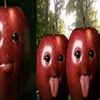 danisharsyadbinyusran