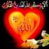 ali.ali40347