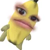 bayotdawk0