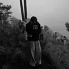 qbao_vibe