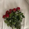 rayan_rayo17