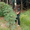 rm__.ro_2005