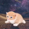 garyism1