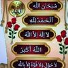 user78441517812317
