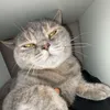 emzutt