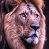 eaglez85