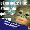 dorotakruszewska7