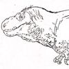 hansokreasey