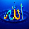 saidha286