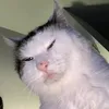 jefferson_ggpr