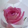 afnan_75kh