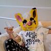 sodapop_raccoon