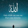 abdiqassim45