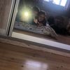 michelle_kennedy38