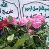 user338806132bouthaina