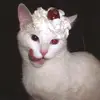 kygijfxyew