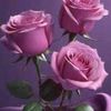 user9846124275123