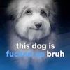justin.sosa.is.a.b3an3r