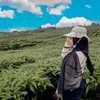 lilisundari486