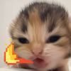 klmcri