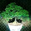 user7x6cz5sgtg