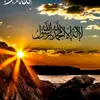 shakersalah12