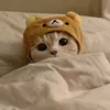 zbhxgssjxbxn