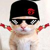 radit_vis