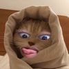 www.tiktok.compesan6
