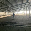 antonin_dnr