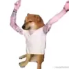 khoabatluc4