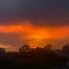 koiumotai2