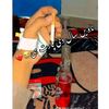 user95850724393861
