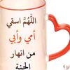 user1212546549070