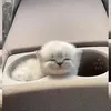 khangszkk