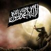 alhamidhashim