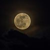 awad_1236