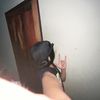 pooktung22