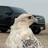 🇸🇦