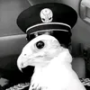 jo_4j7