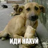 n0rfyakichhhh