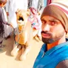 meerkhanbaloch80
