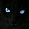wrapper_l