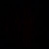 user7730463381275