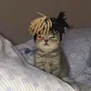 kiarkaqsss