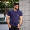 najimalbhadly